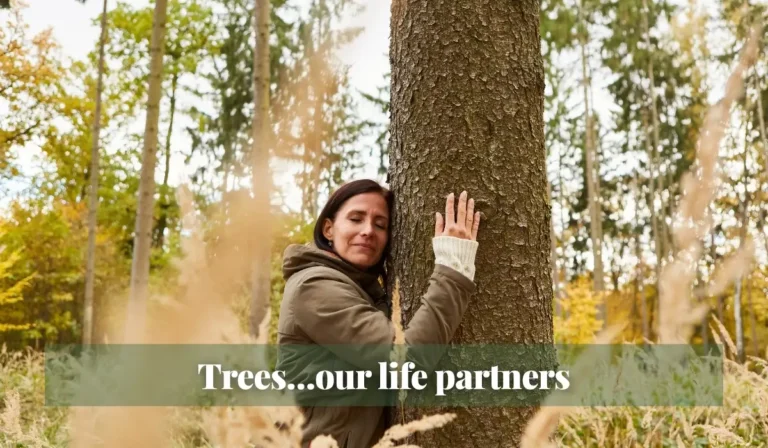 Read more about the article Trees…our life partners