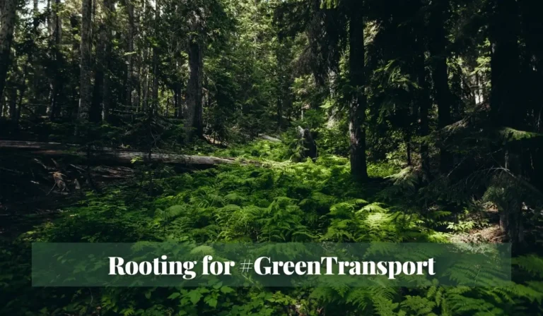 Read more about the article Rooting for #GreenTransport