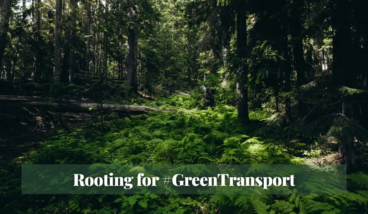 Read more about the article Rooting for #GreenTransport