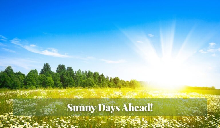 Read more about the article Sunny Days Ahead!