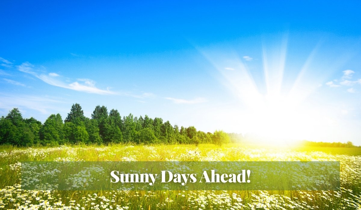 Read more about the article Sunny Days Ahead!