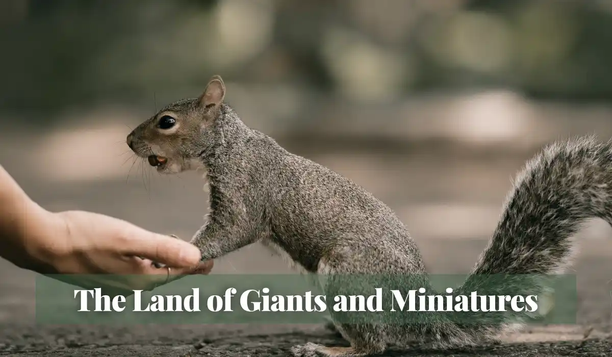 Read more about the article The Land of Giants and Miniatures
