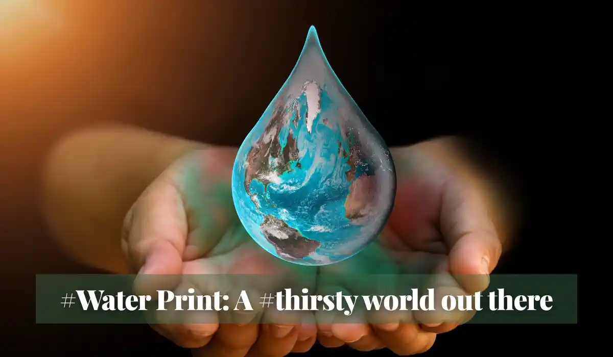 You are currently viewing #Water Print: A #thirsty world out there