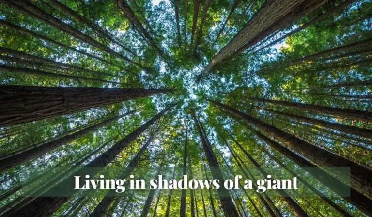 Read more about the article Living in shadows of a giant