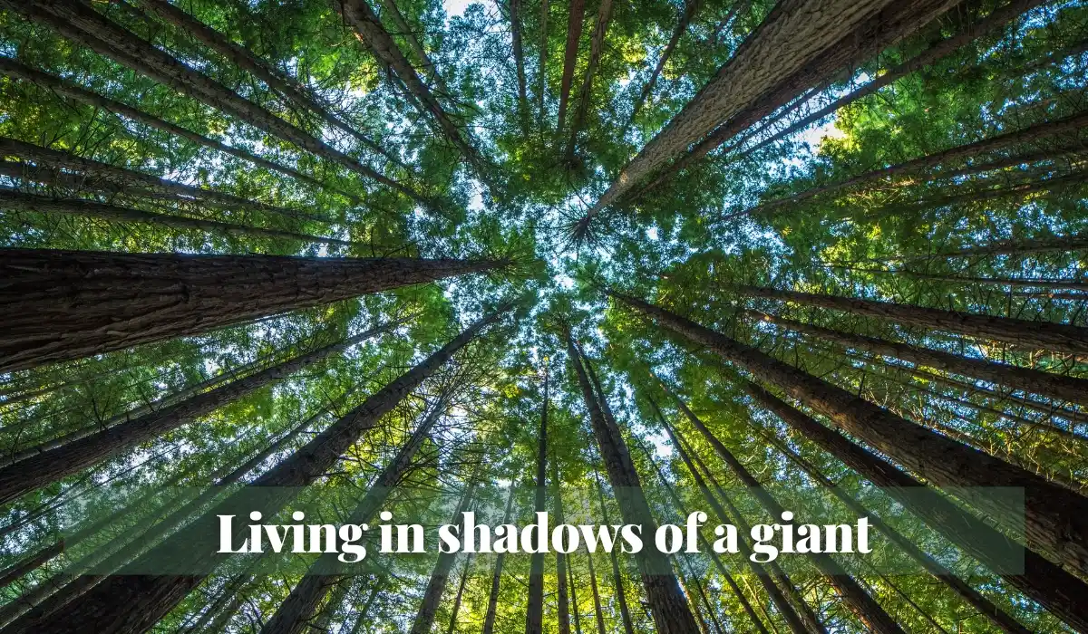 Read more about the article Living in shadows of a giant