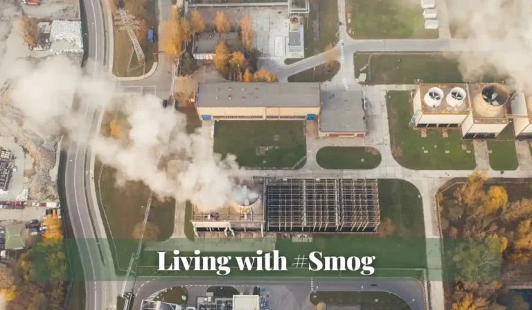 Read more about the article Living with #Smog