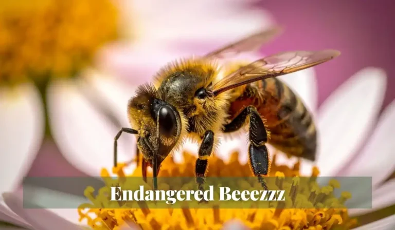 Read more about the article Endangered Beeezzz