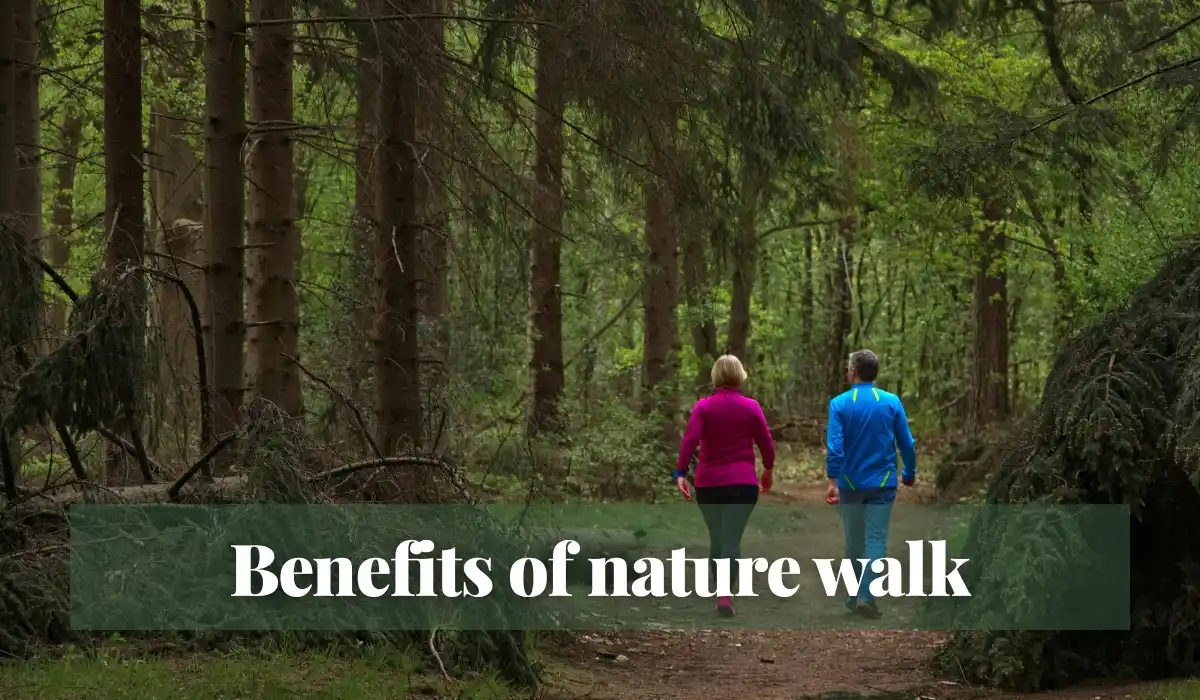 Read more about the article Benefits of nature walk
