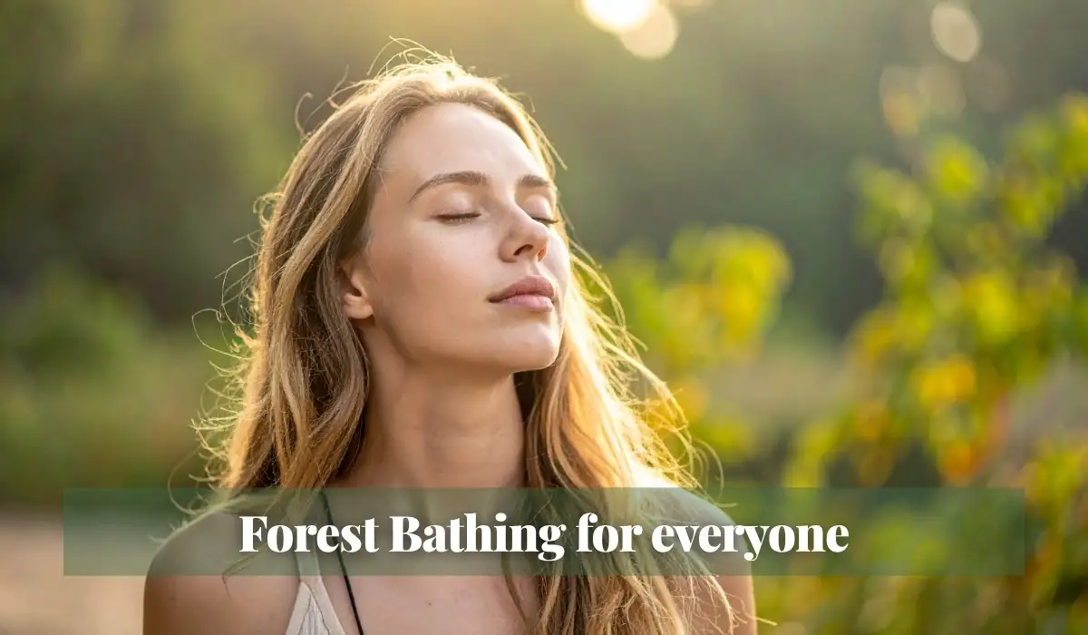 Read more about the article Forest Bathing for everyone