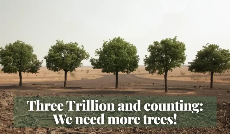 Read more about the article Three Trillion and counting: We need more trees!