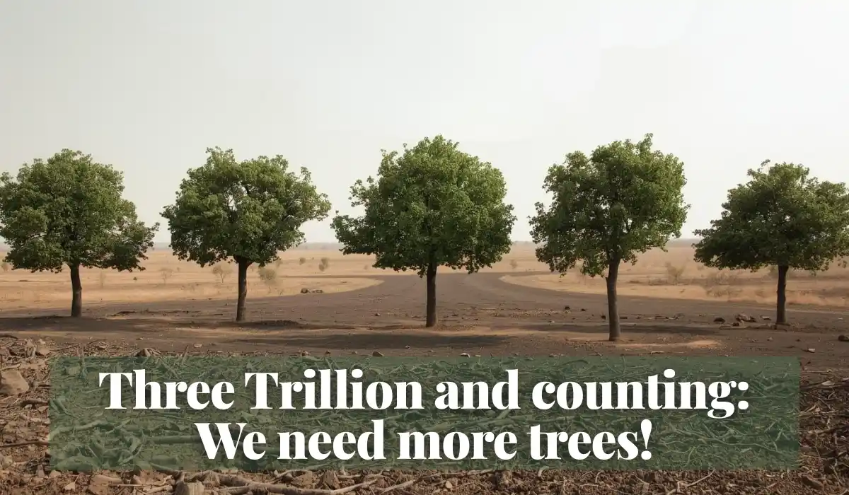 Read more about the article Three Trillion and counting: We need more trees!
