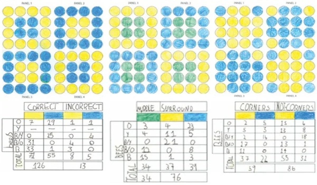 Read more about the article Kids and Bees: Young scientists at work