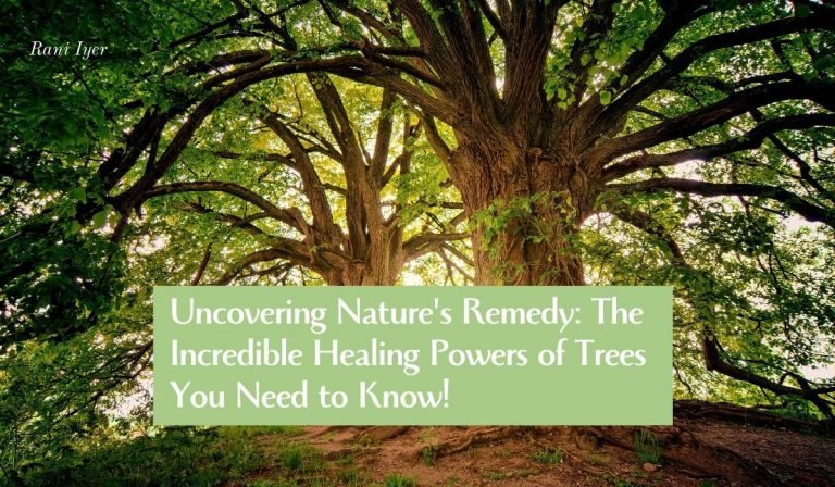 Read more about the article Uncovering Nature’s Remedy: The Incredible Healing Powers of Trees You Need to Know!