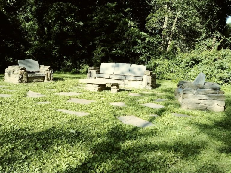 Read more about the article Healing Forests