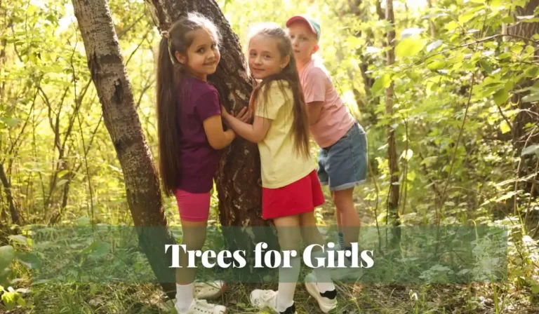 Read more about the article Trees for Girls