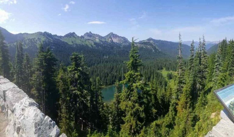 Read more about the article A Visit to the Mountain