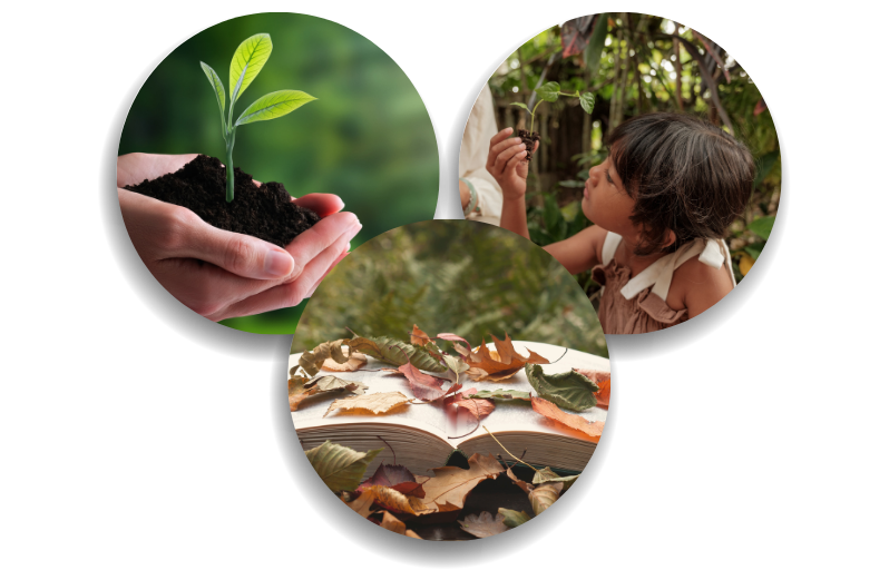 Credentials & Recognition