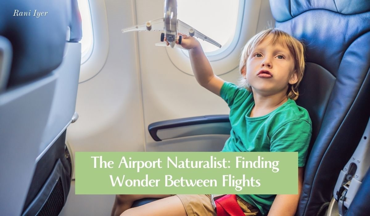 Read more about the article The Airport Naturalist: Finding Wonder Between Flights