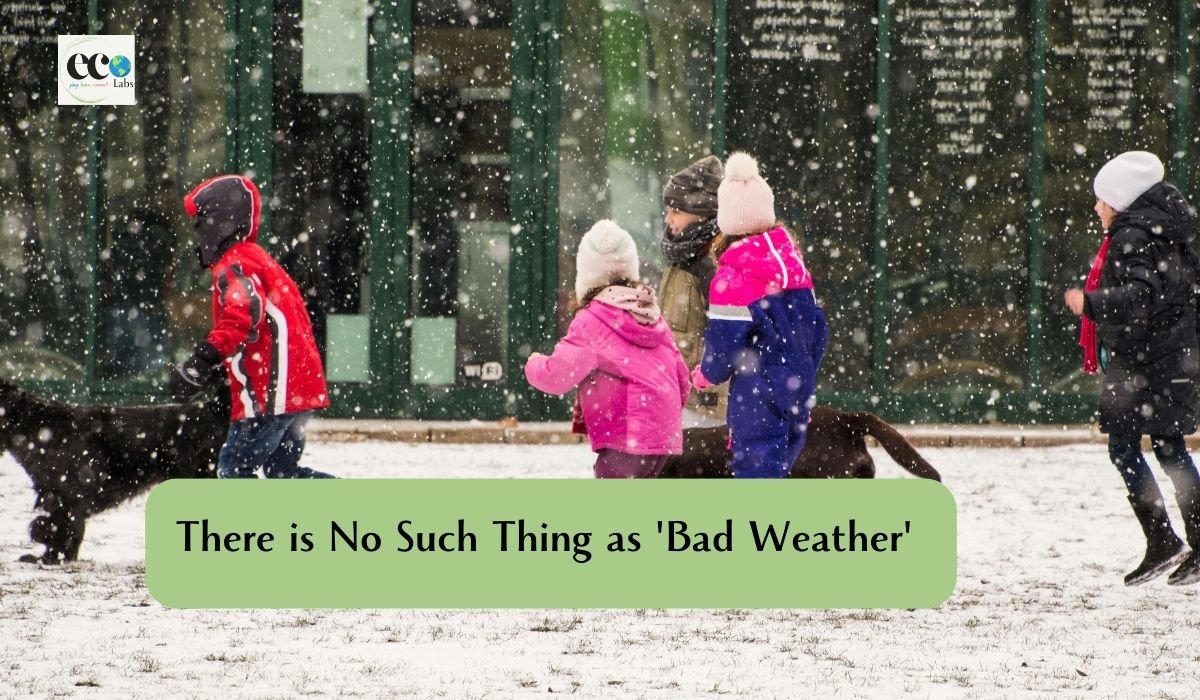 Read more about the article There is No Such Thing as ‘Bad Weather,’ Only a Lack of Ecoliteracy