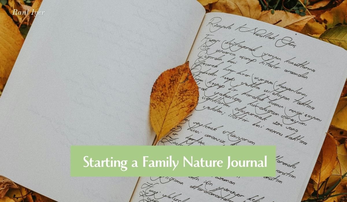 Read more about the article 365 Days of Noticing: Starting a Family Nature Journal That Actually Sticks